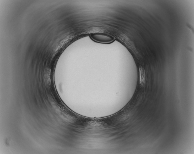 X0000102370300200808221745