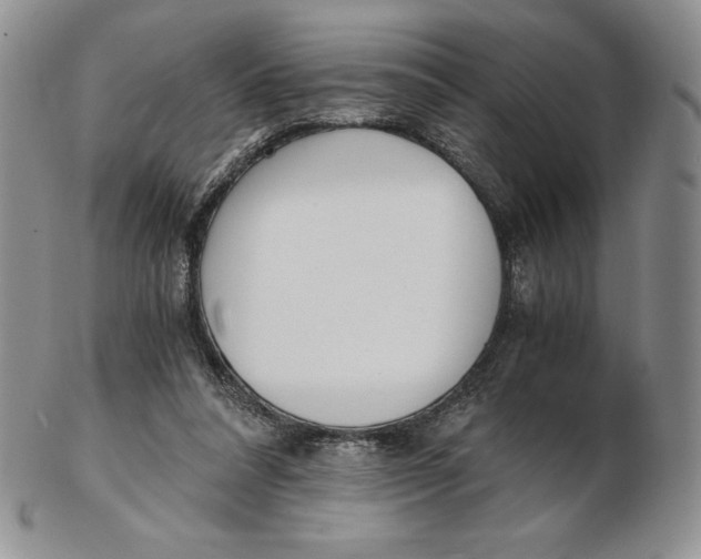 X0000102370304200808221745