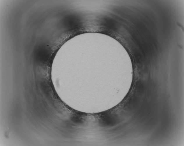 X0000102370305200808221745