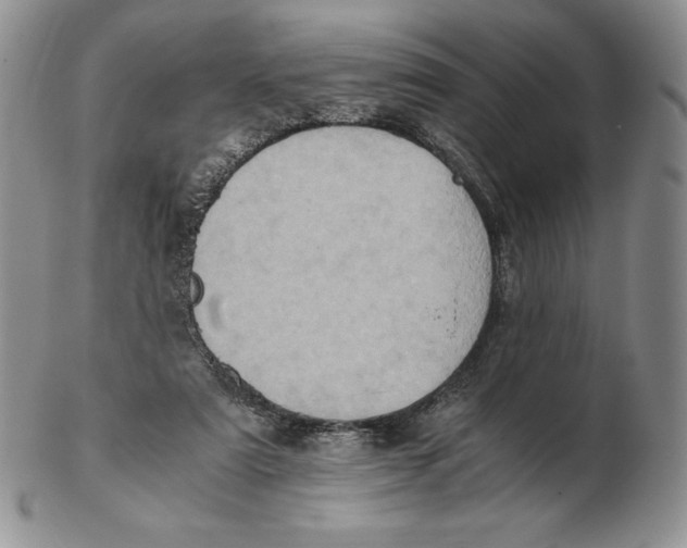 X0000102370307200808221745