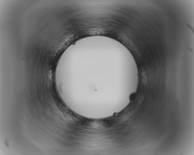 X0000102370308200808221745