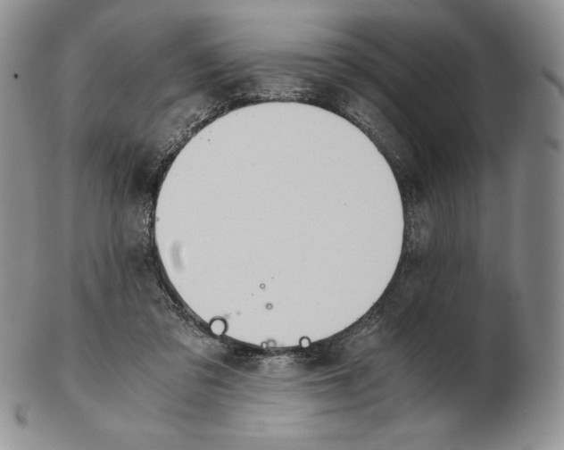 X0000102370309200808221745