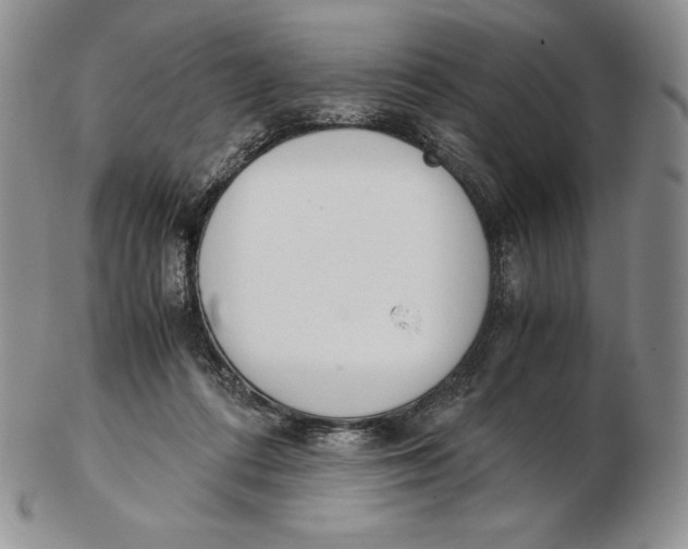 X0000102370312200808221745