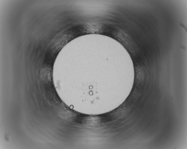 X0000102370313200808221745