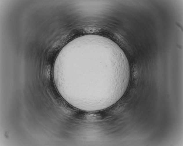 X0000102370315200808221745