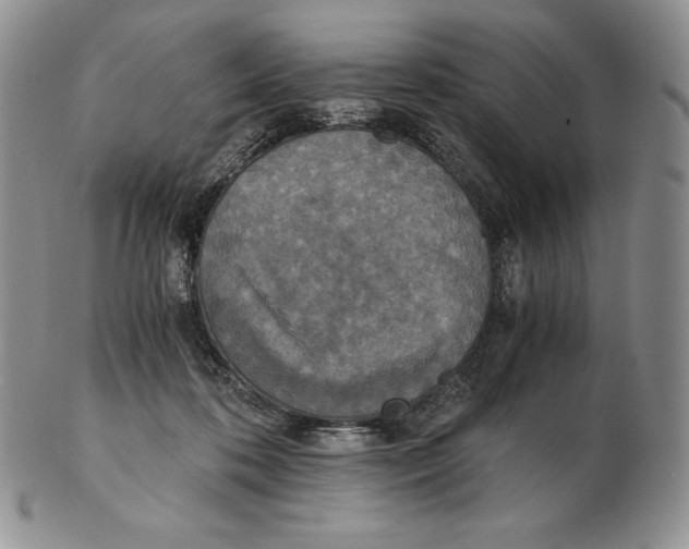 X0000102370316200808221745