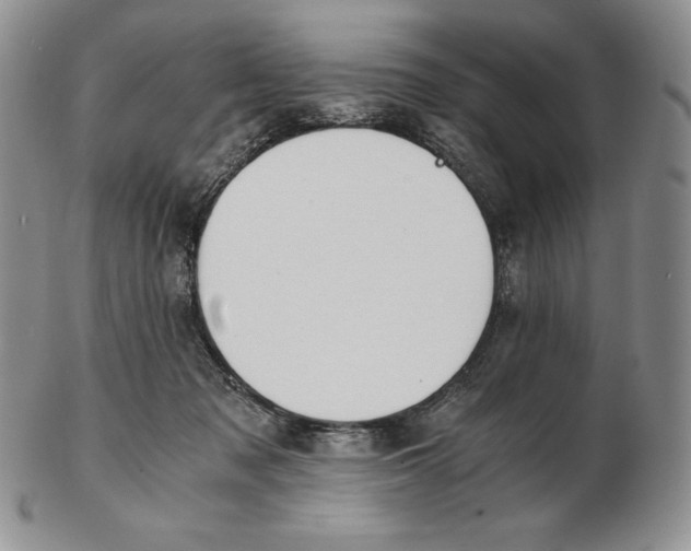 X0000102370317200808221745