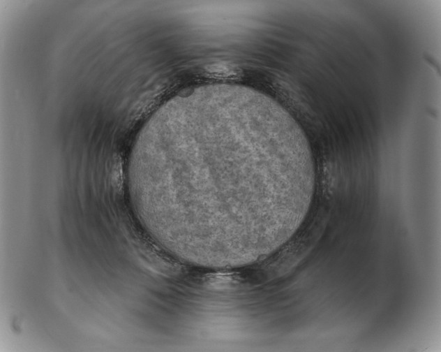 X0000102370320200808221745