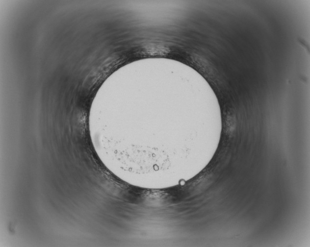 X0000102370321200808221745