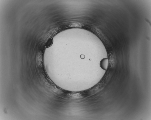 X0000102370322200808221745