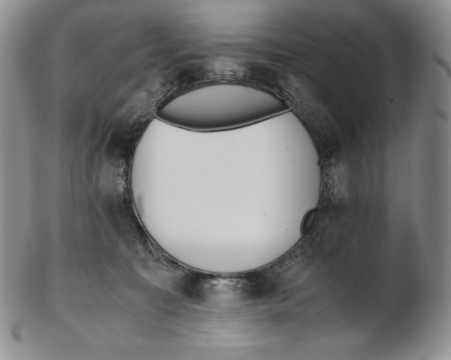 X0000102370323200808221745