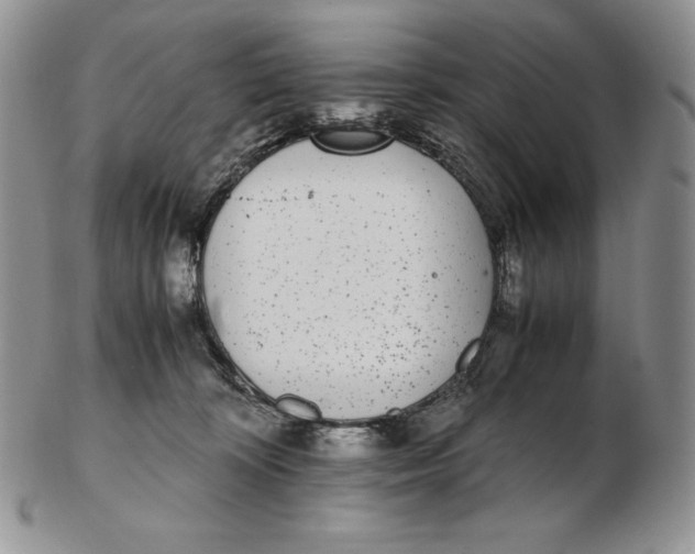 X0000102370324200808221745