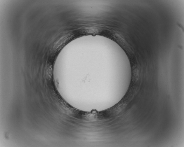 X0000102370325200808221745