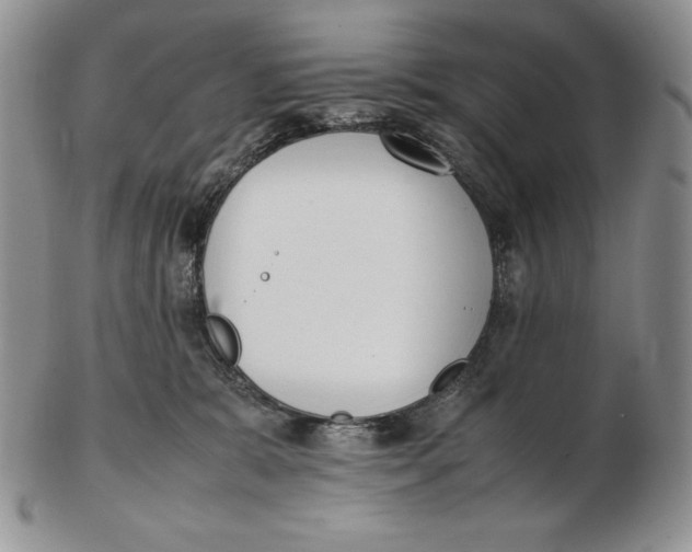 X0000102370327200808221745