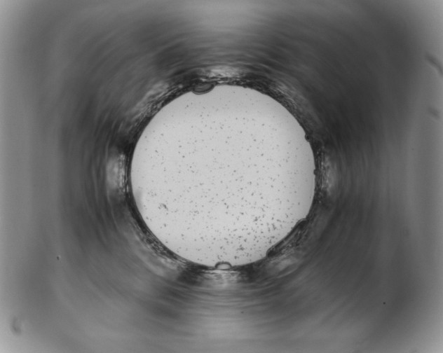 X0000102370328200808221745