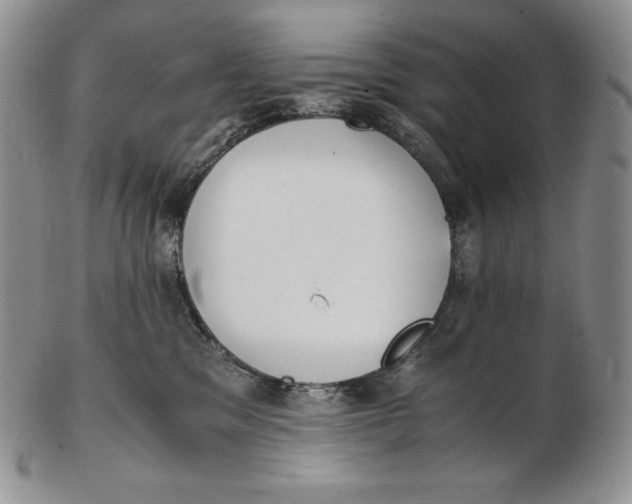 X0000102370329200808221745