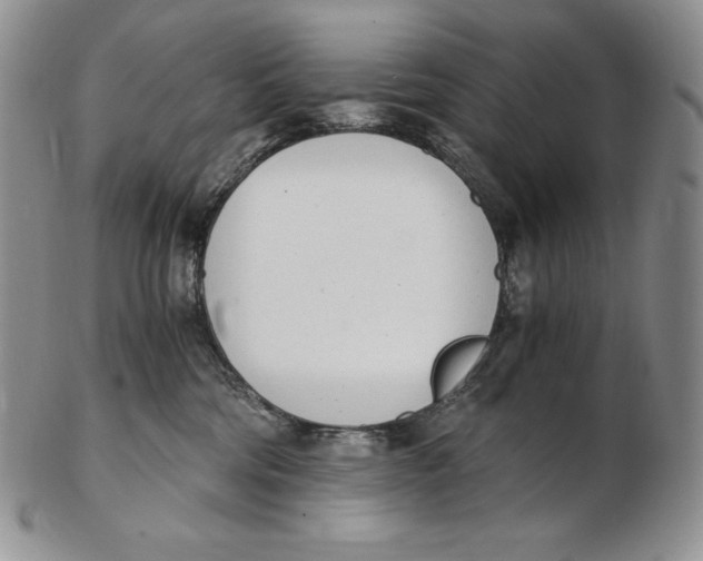 X0000102370330200808221745