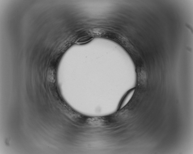 X0000102370331200808221745