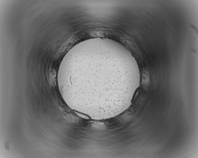 X0000102370332200808221745