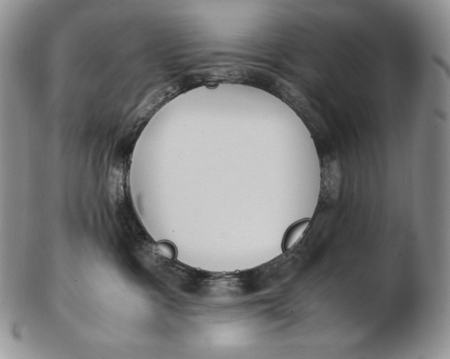 X0000102370333200808221745