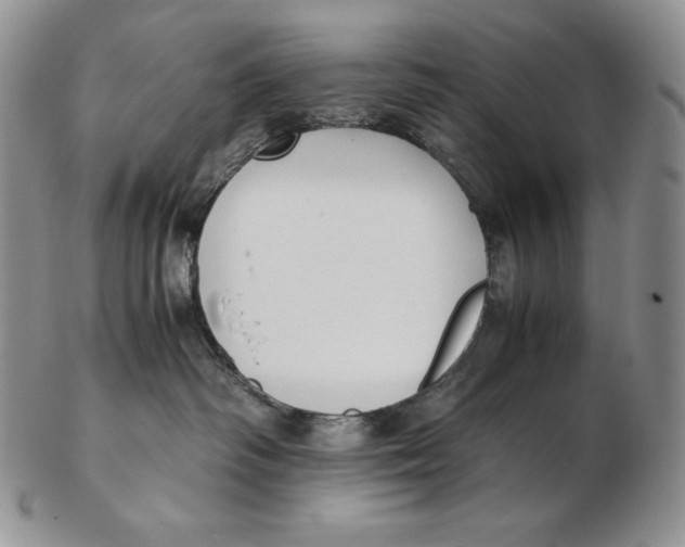 X0000102370334200808221745