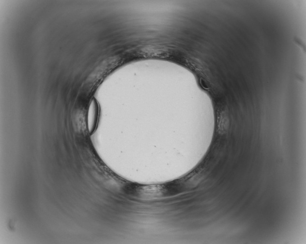 X0000102370335200808221745