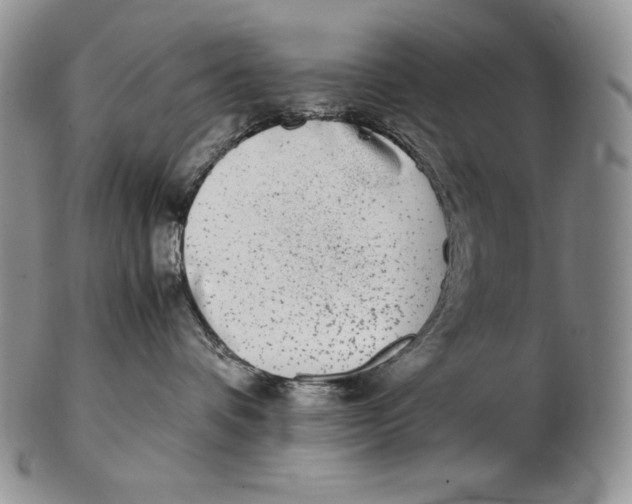 X0000102370336200808221745