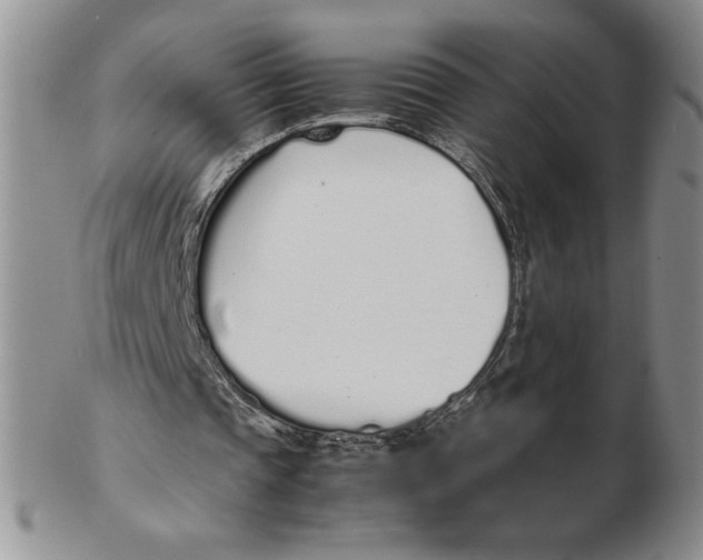 X0000102370337200808221744