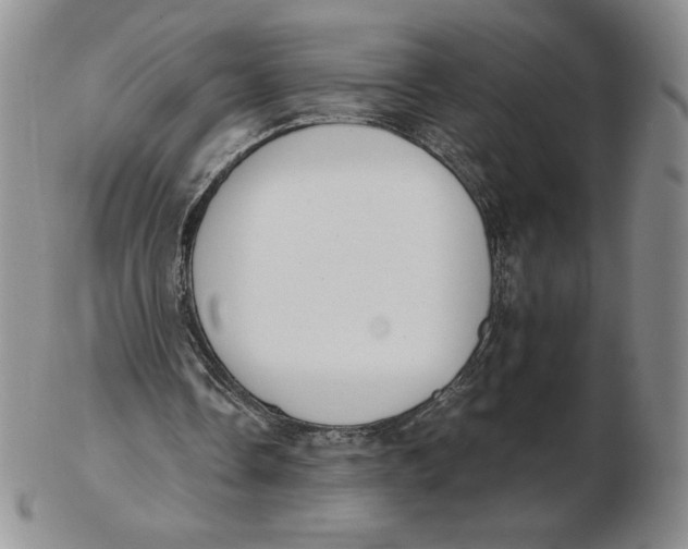 X0000102370338200808221744