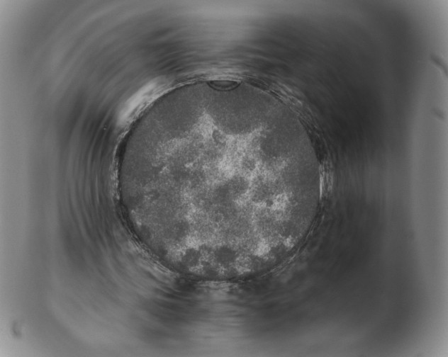 X0000102370339200808221744