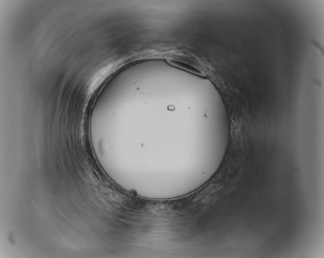 X0000102370340200808221744