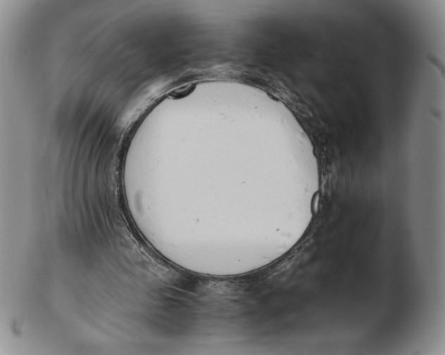 X0000102370341200808221744