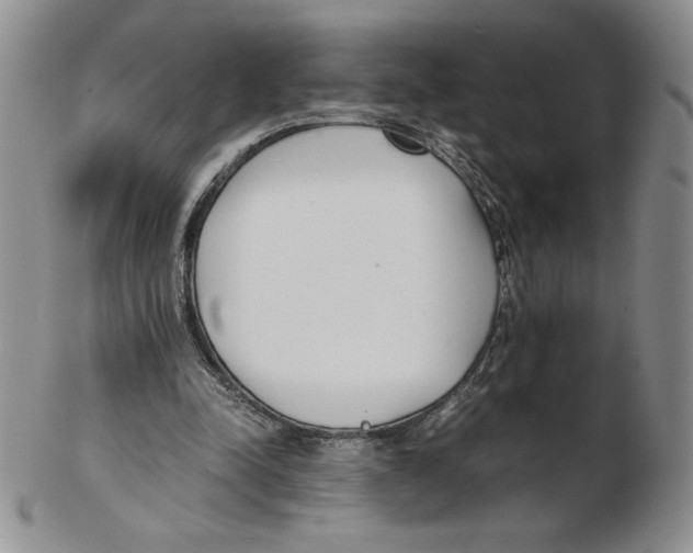 X0000102370342200808221744