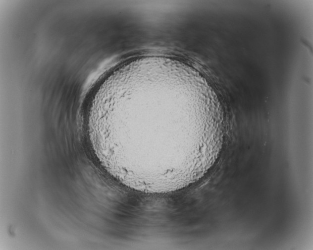 X0000102370343200808221744