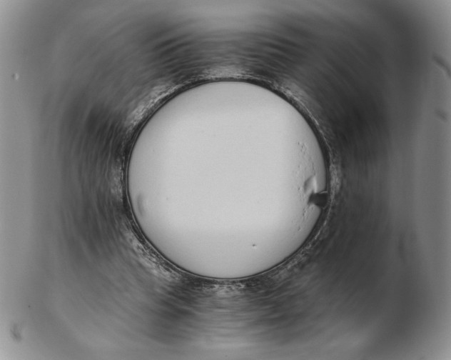 X0000102370345200808221744