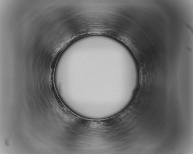 X0000102370346200808221744