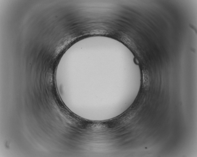 X0000102370348200808221744