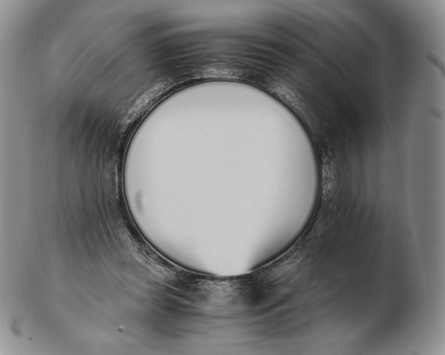 X0000102370349200808221744