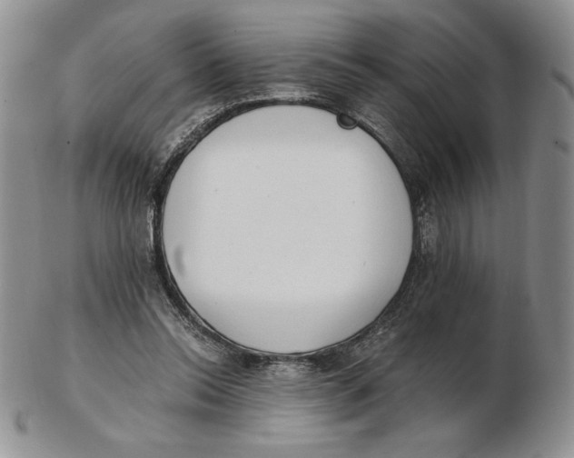 X0000102370350200808221744