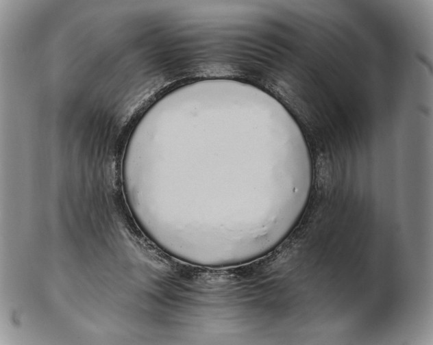 X0000102370351200808221744