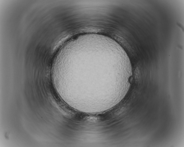 X0000102370352200808221744