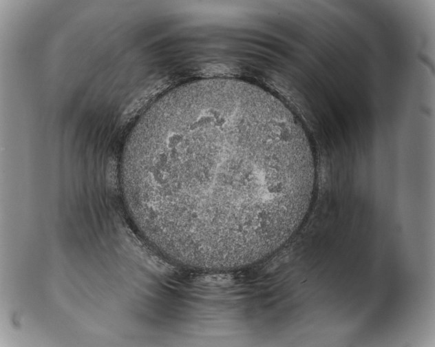 X0000102370353200808221744