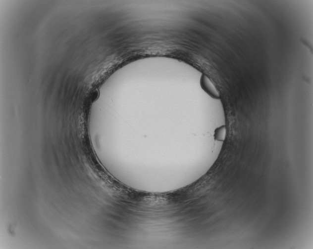 X0000102370354200808221744