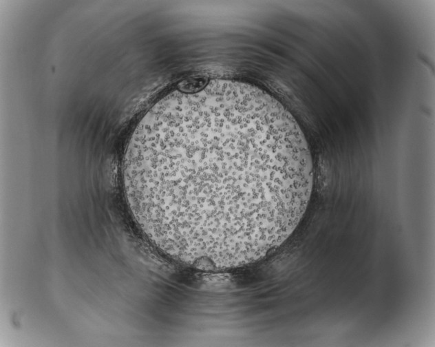 X0000102370355200808221744