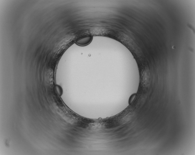 X0000102370356200808221744