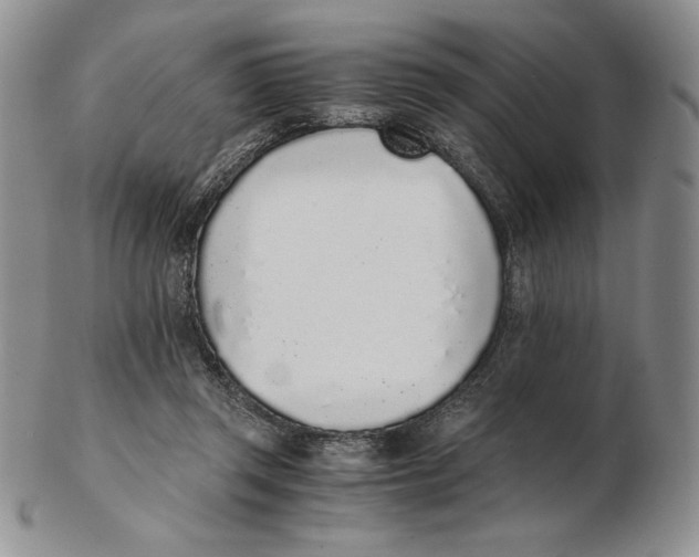 X0000102370357200808221744