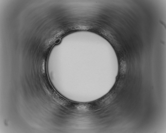 X0000102370358200808221744