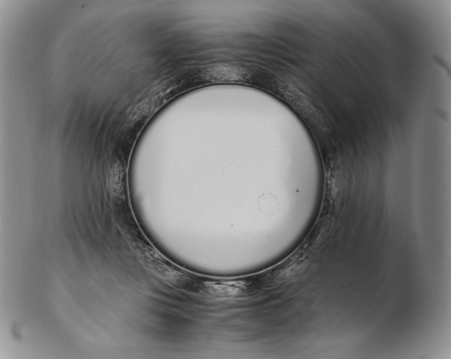 X0000102370359200808221744