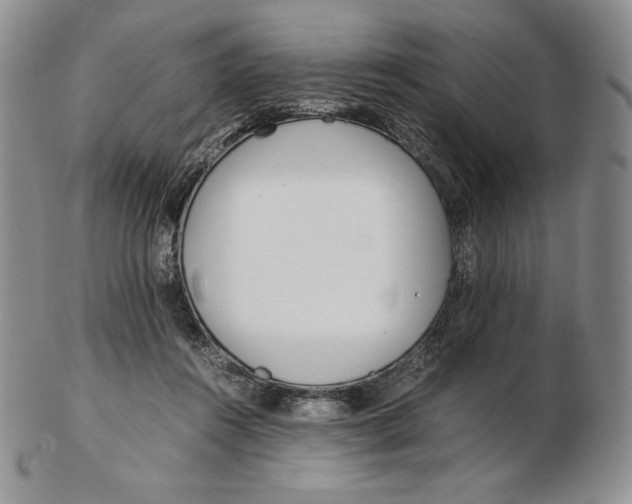 X0000102370360200808221744