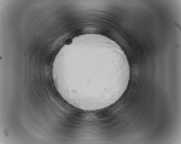 X0000102370361200808221744